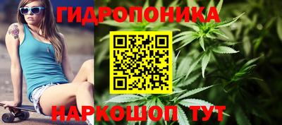 ГАЛЛЮЦИНОГЕННЫЕ ГРИБЫ Коммунар