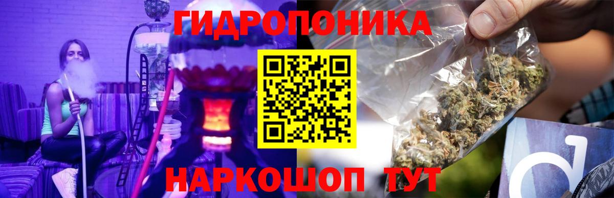 Марихуана сатива  Конопля конопля  Марихуана тримм  Вход с VPN  Геленджик 